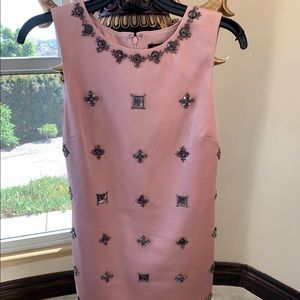 Ann Taylor Pink Mid Length Dress
